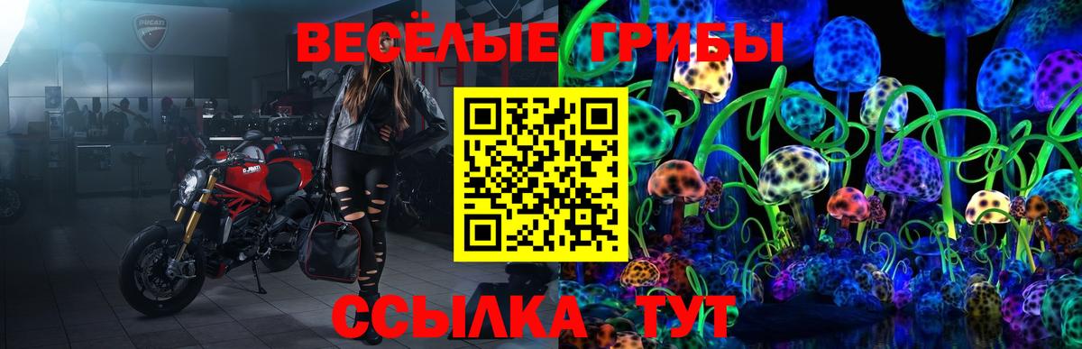 Псилоцибиновые грибы мухоморы Новосибирск